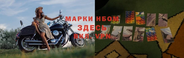 дмт Арсеньев