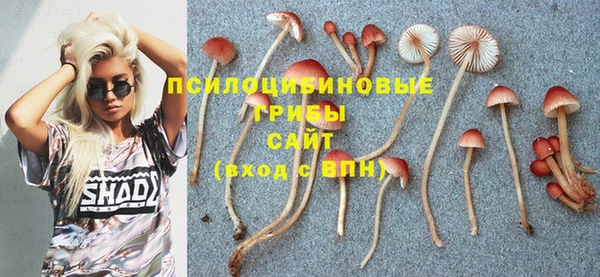 дмт Арсеньев
